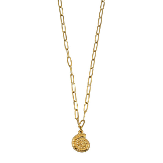 TANE Gold: Spiral Shell Pendant Paperclip Chain Necklace